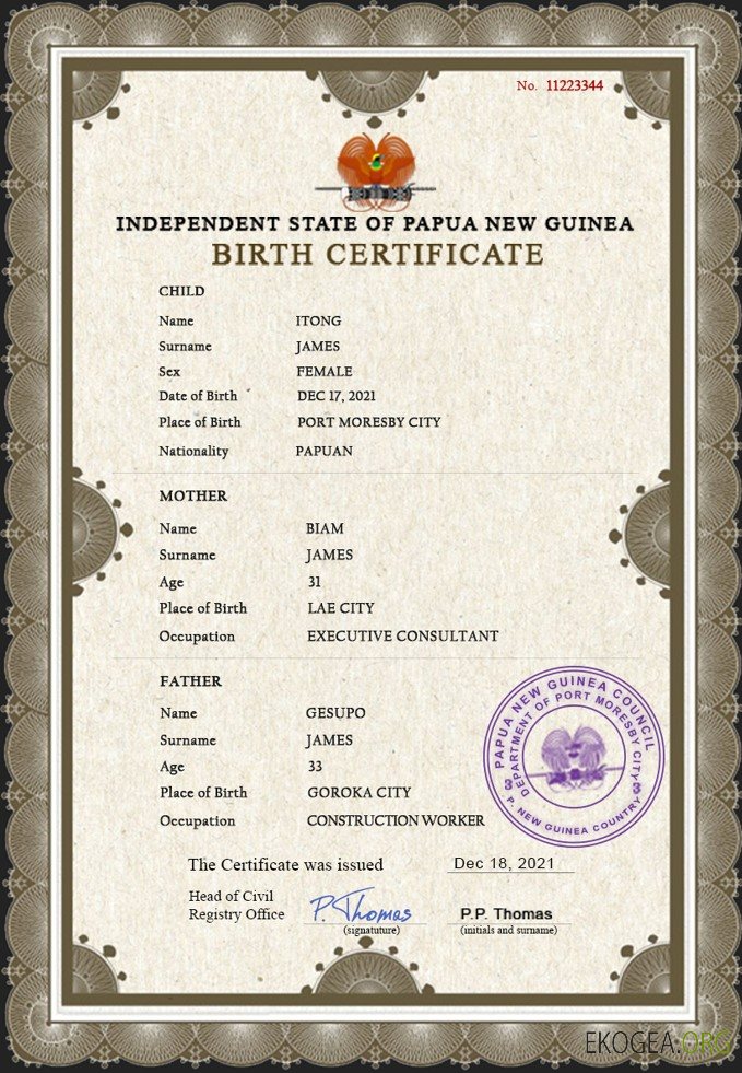 Modèle PSD de certificat de naissance en Papouasie Nouvelle Guinée